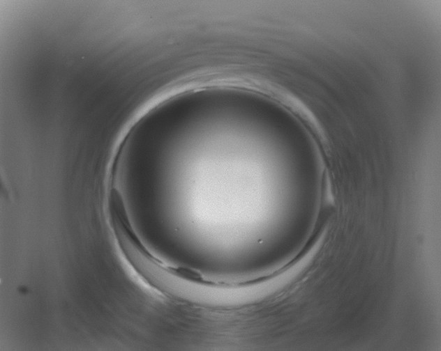 X0000082931528200702081527