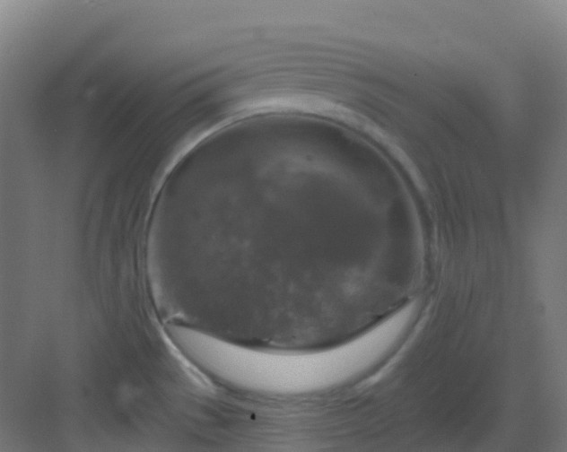 X0000082931529200702081527