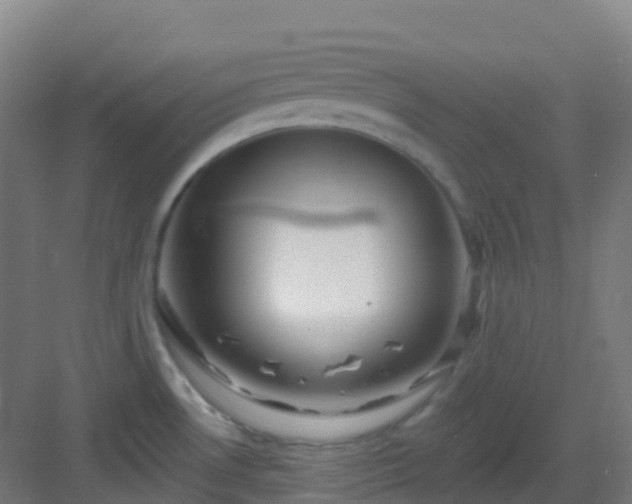 X0000082931530200702081527