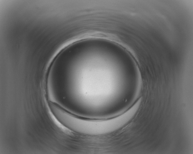 X0000082931531200702081527