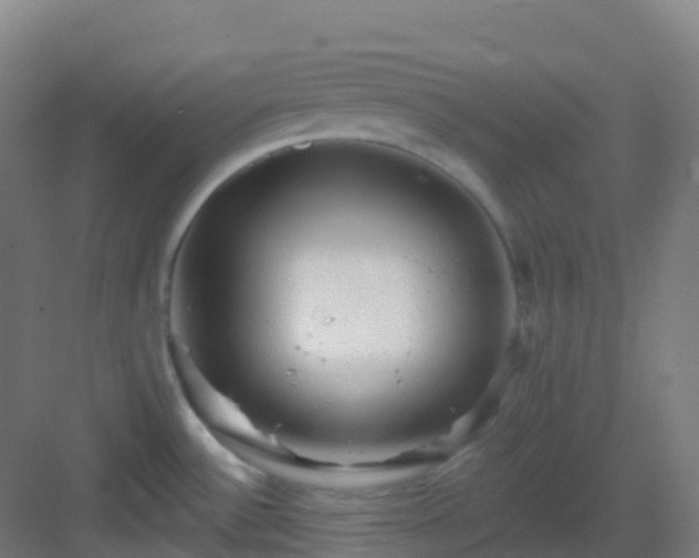 X0000082931532200702081527