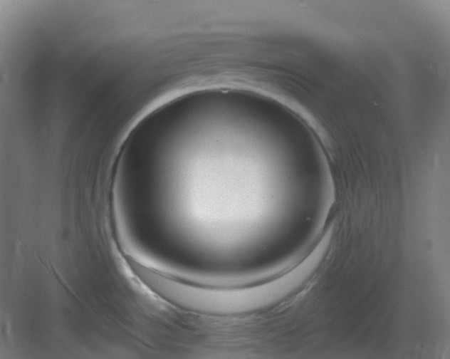 X0000082931534200702081527