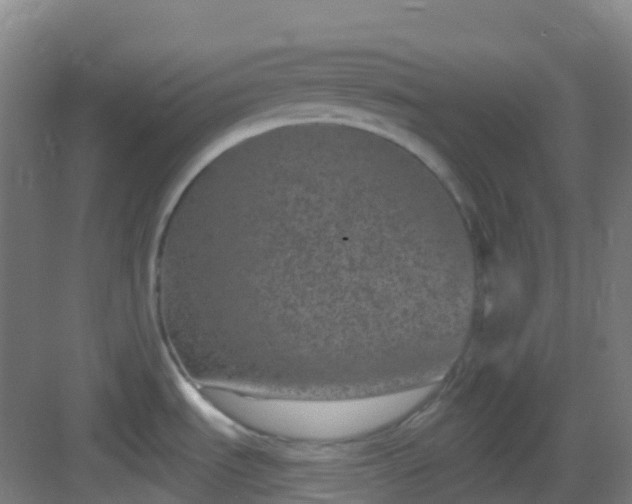 X0000082931535200702081527