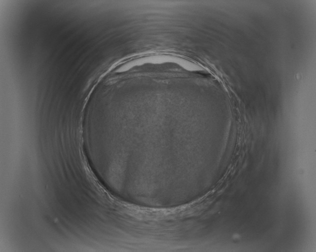 X0000082930002200702152159