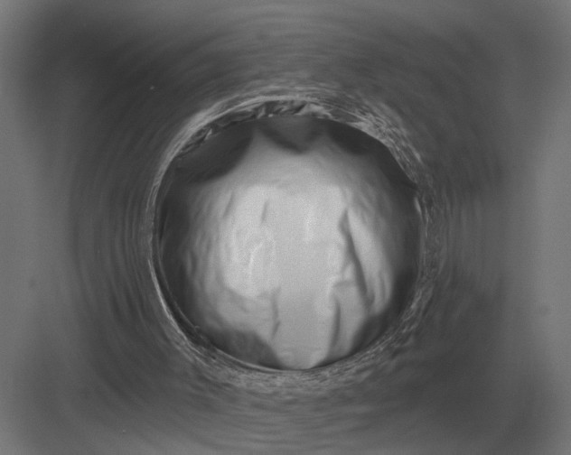 X0000082930003200702152159