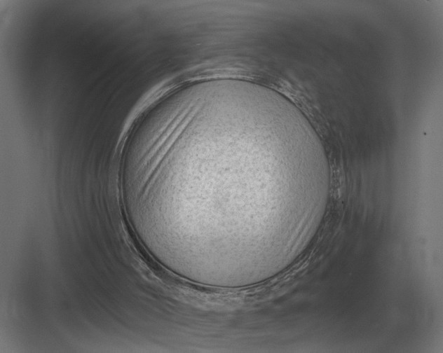 X0000082930004200702152159