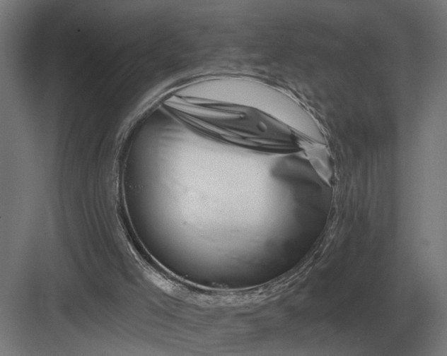 X0000082930005200702152159