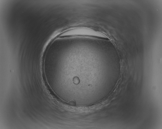 X0000082930006200702152159