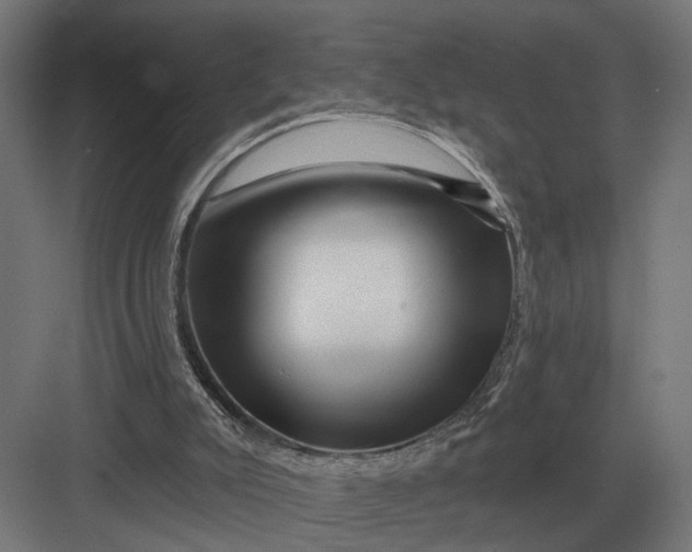 X0000082930007200702152159