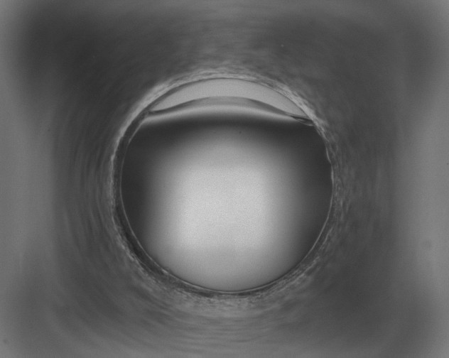 X0000082930008200702152159