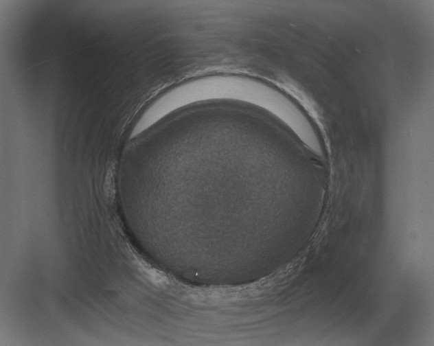 X0000082930009200702152159