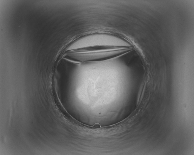 X0000082930010200702152159