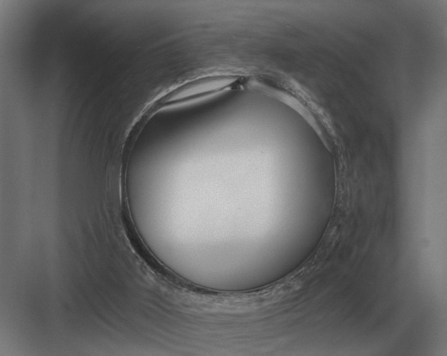 X0000082930011200702152159