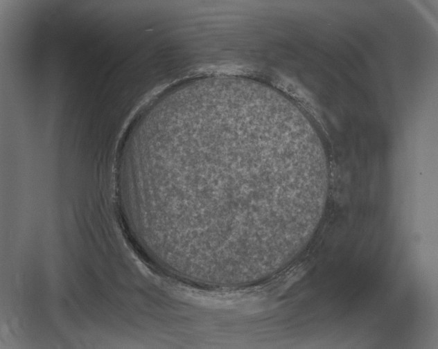 X0000082930012200702152159