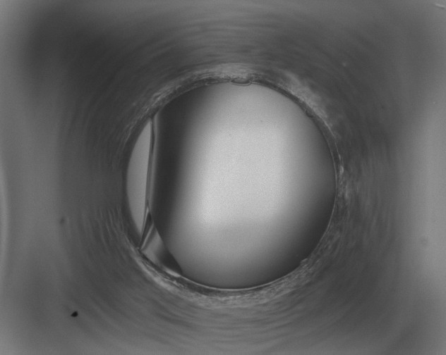 X0000082930013200702152159