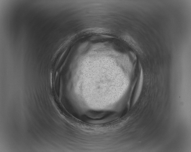 X0000082930014200702152159