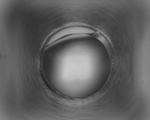 X0000082930015200702152159