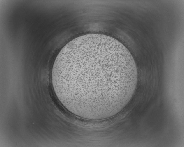 X0000082930016200702152159