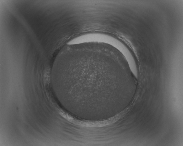 X0000082930017200702152159