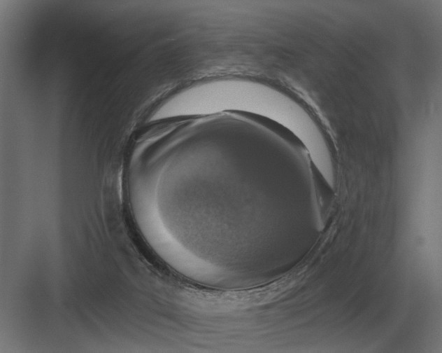 X0000082930019200702152159