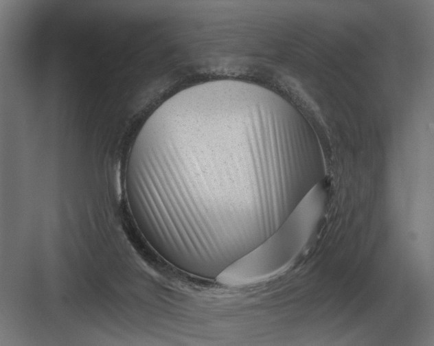 X0000082930020200702152159