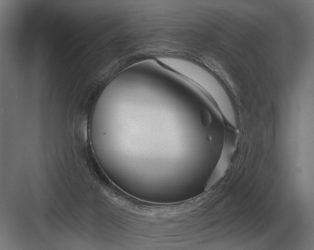 X0000082930021200702152159