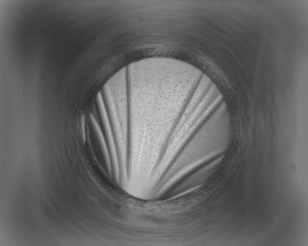 X0000082930022200702152159