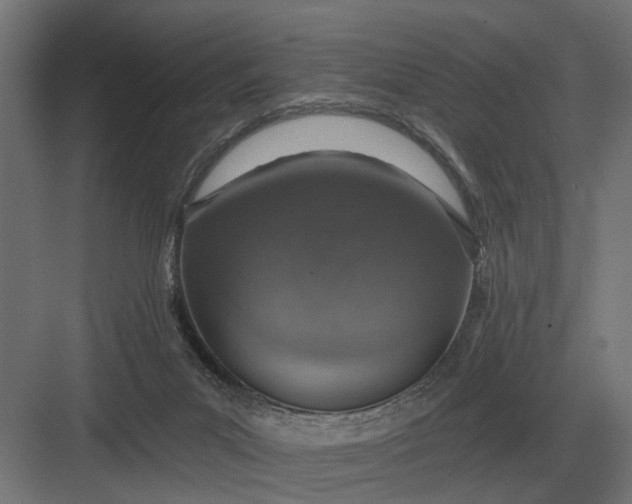 X0000082930023200702152159