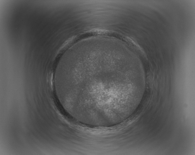 X0000082930024200702152159