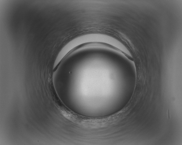 X0000082930025200702152159