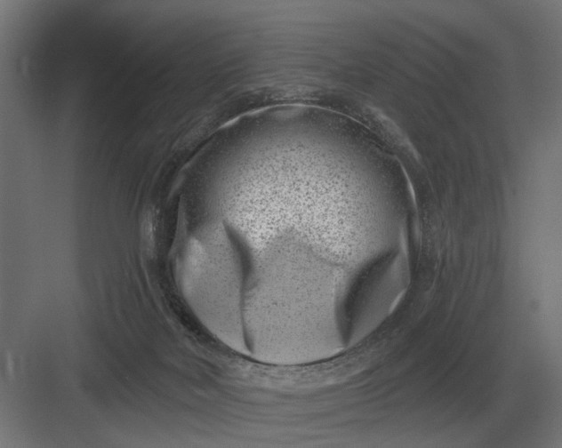 X0000082930026200702152159