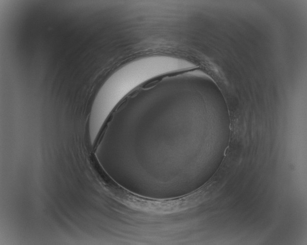 X0000082930027200702152159