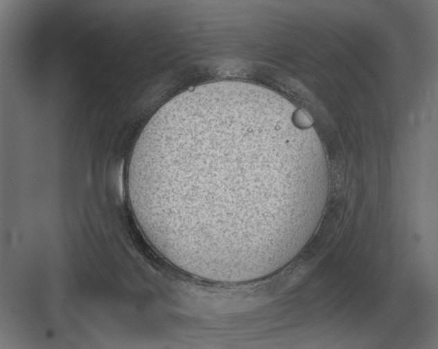 X0000082930028200702152159