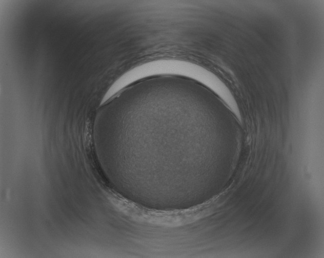 X0000082930029200702152159