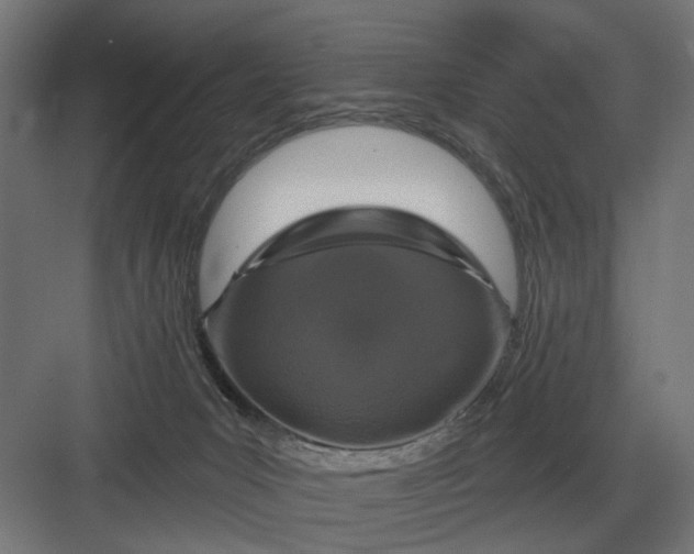 X0000082930031200702152159