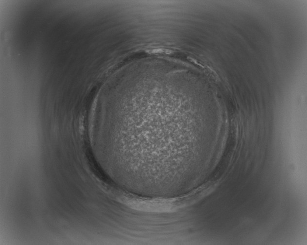 X0000082930032200702152159