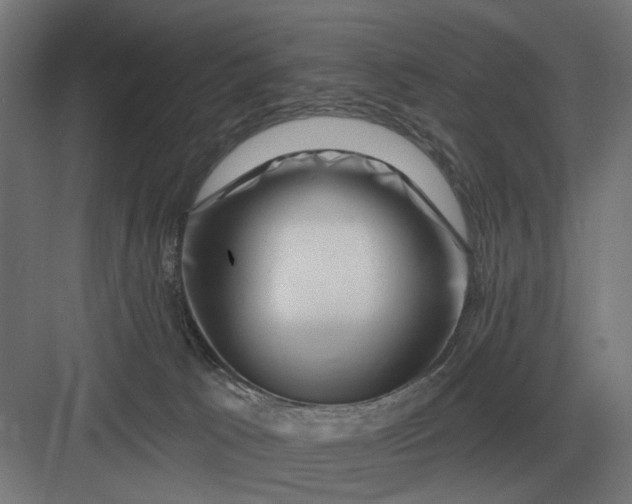 X0000082930033200702152159