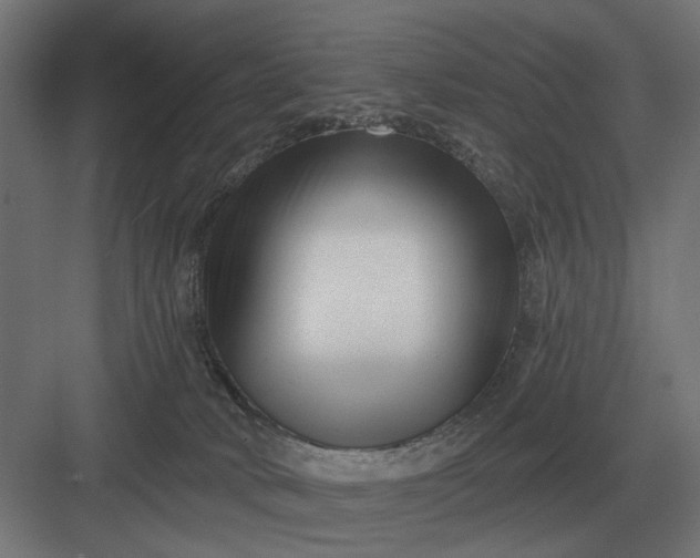 X0000082930034200702152159