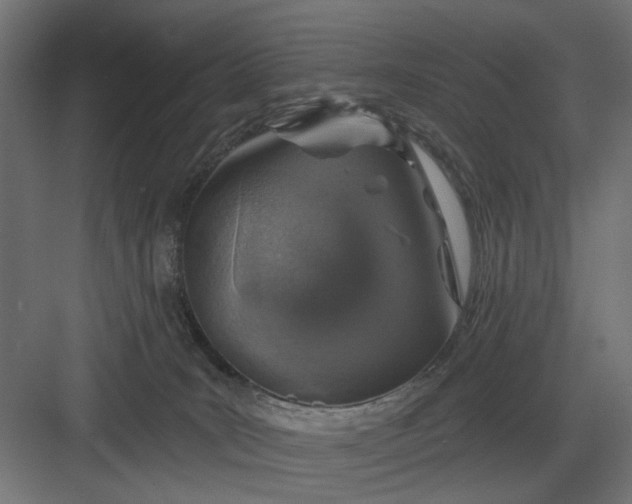 X0000082930035200702152159