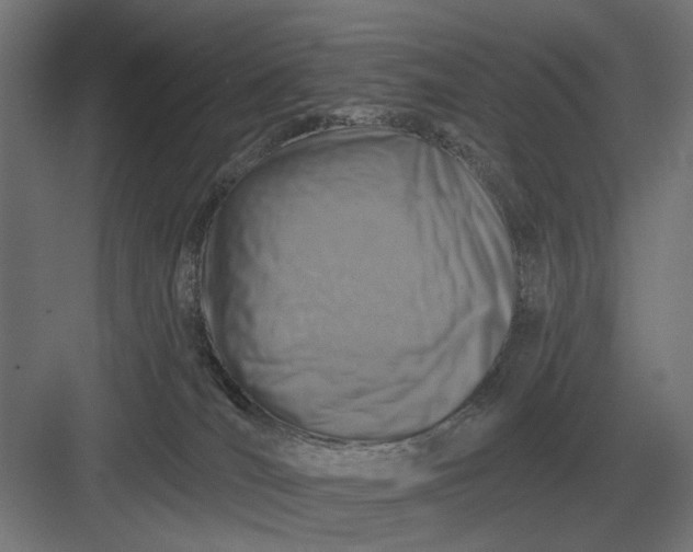 X0000082930036200702152159