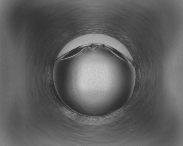 X0000082930037200702152159