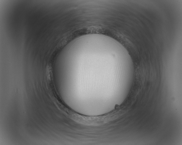 X0000082930038200702152159