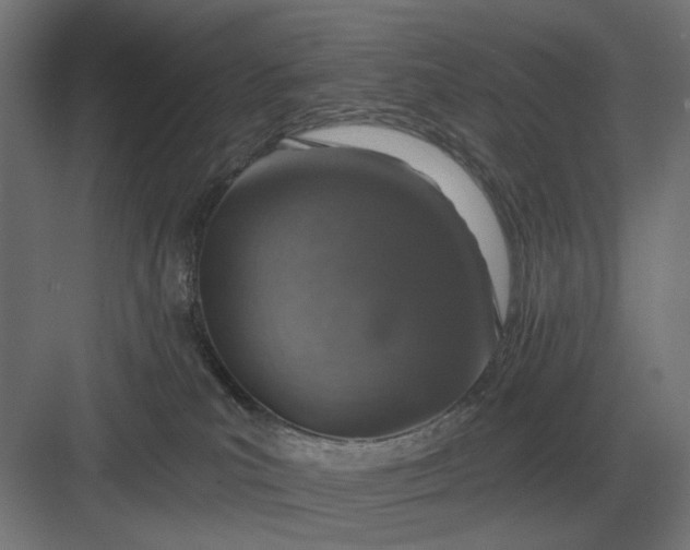 X0000082930039200702152159