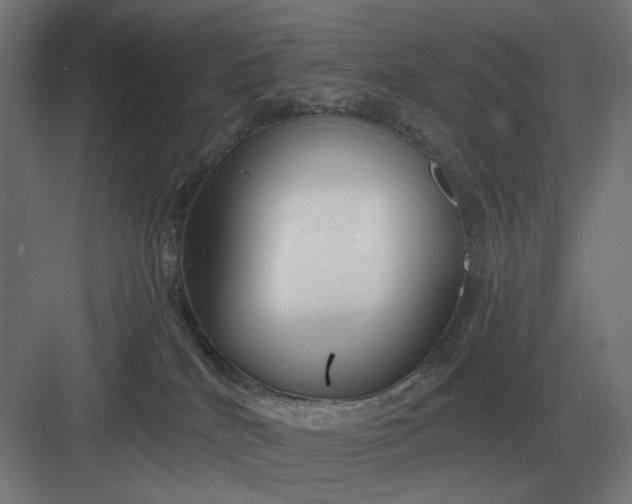 X0000082930040200702152159