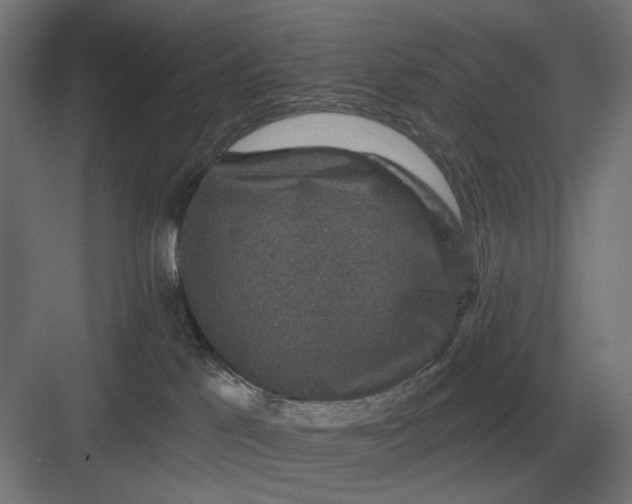 X0000082930041200702152159