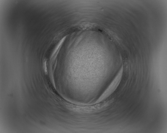 X0000082930042200702152159