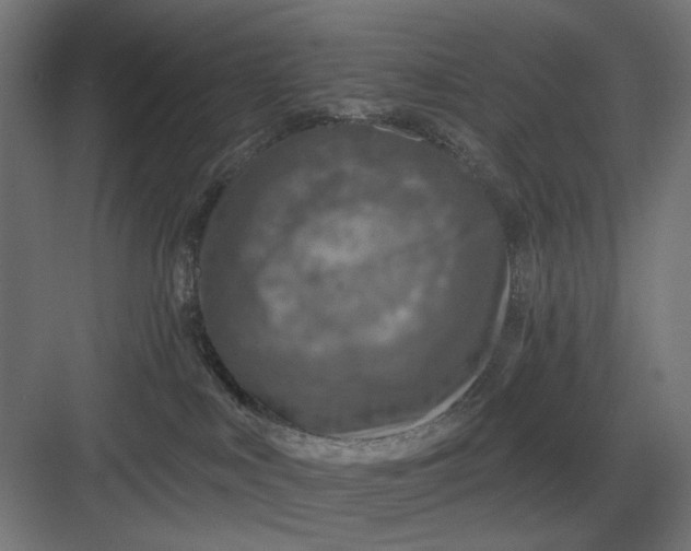 X0000082930043200702152159