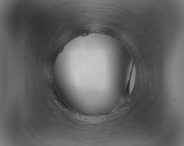 X0000082930044200702152159