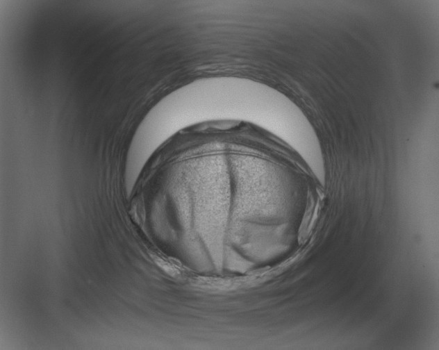 X0000082930045200702152159