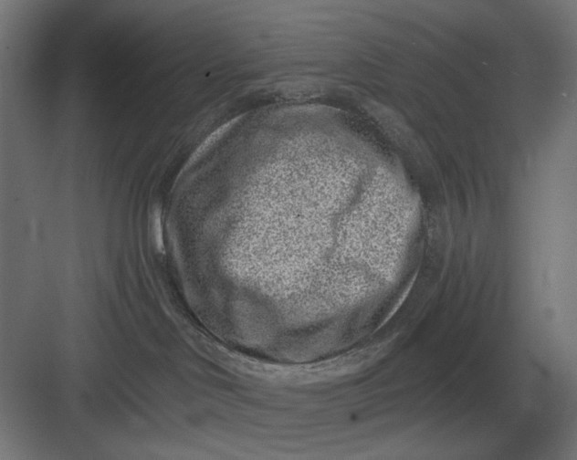 X0000082930046200702152159